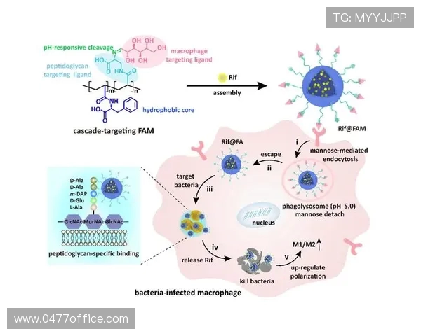 北京篮球队团队协作的独特优势与其他球队的深度对比分析 北京篮球队团队协作的独特优势与其他球队的深度对比分析