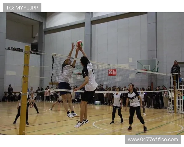 南京排球队技术揭秘：从基础到巅峰的排球艺术探索之旅