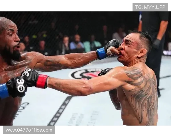 刘易斯与米欧奇巅峰对决UFC赛场再掀热潮引发拳迷热议