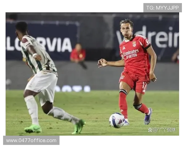 阿马多拉与本菲卡激战正酣谁能在这场对决中笑到最后