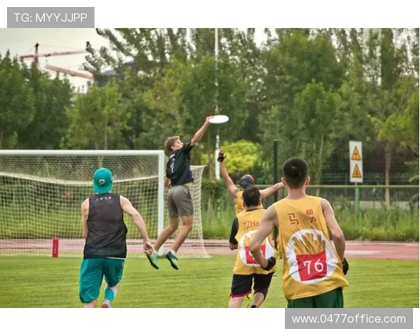 飞盘运动的崛起与陈丽的成功经验分享 飞盘运动的崛起与陈丽的成功经验分享