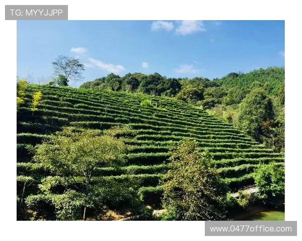 黄磊分享攀岩生涯的心路历程与人生哲学