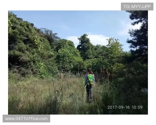 广州攀岩队中路突破的背后故事与未来发展展望 广州攀岩队中路突破的背后故事与未来发展展望