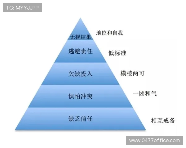 上海排球队战术解析:聚焦技术与团队协作的完美结合 上海排球队战术解析:聚焦技术与团队协作的完美结合