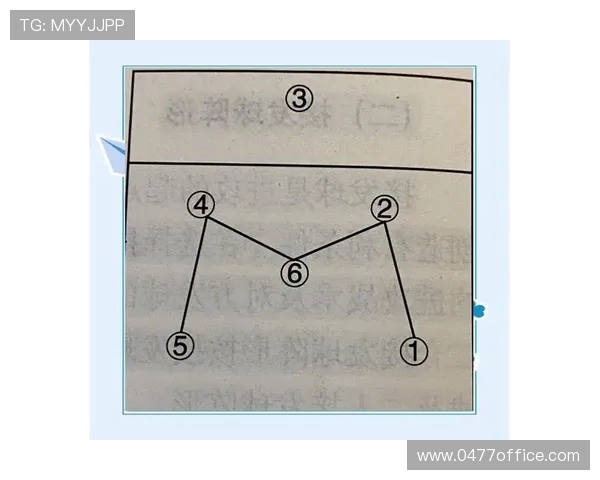 南京排球队的转换体系探讨与战术创新分析