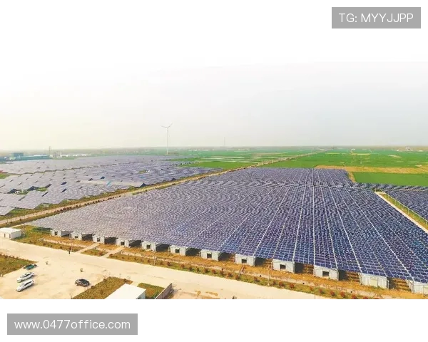 成都排球队在洲际杯中的辉煌征程与突破成就全景回顾