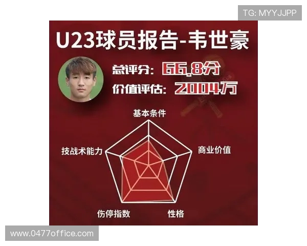 武汉排球队杯赛战术解析与表现评估全面分析